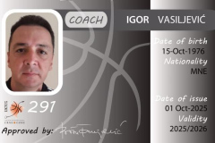 Igor-Vasiljevic-291