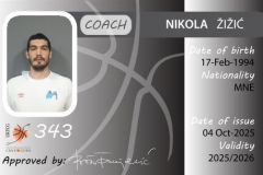 Nikola-Zizic-